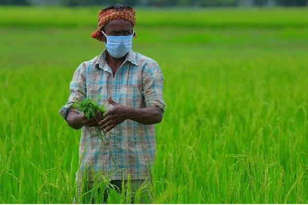 Maharashtra farmer gets Rs 2 as crop damages 