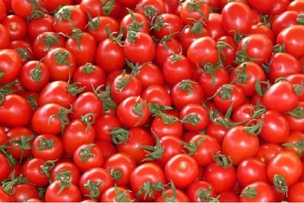 Tomato prices have dropped in Andhra Pradesh and Telangana