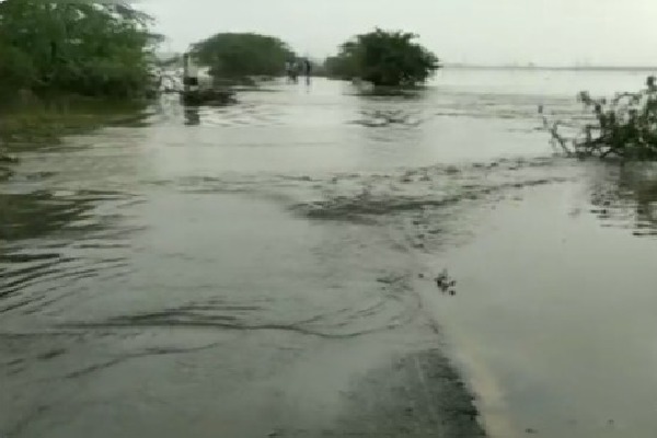 Heavy rains in Nellore and Tirupati districts