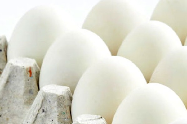 Egg Rates Hiked Due To other expenses