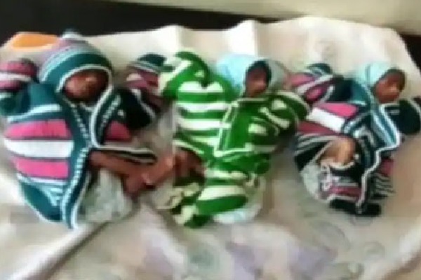 Rajasthan Woman Gave Birth For Triplets