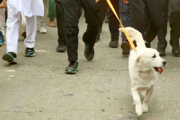Priynaka Gandhi pet dog walks with Rahul Gandhi Bharat Jodo