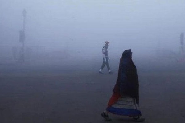 cold waves continuous in delhi over five days in 10 years 