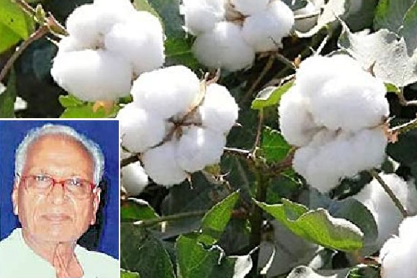varalaxmi cotton seed creator k papa rao passes away