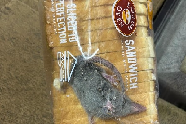 Man Tweets Photo Of Rat Inside Bread Packet Ordered From Blinkit