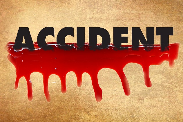 TSRTC driver among two killed in road accidents