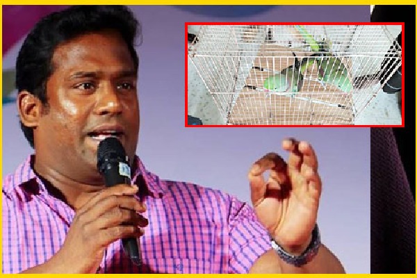 Actor Robo Shankar fined Rs 250000  for keeping Alexandrine parakeets at home