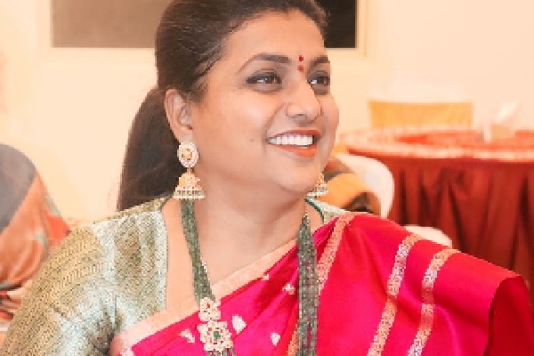 Roja comments on Jr NTR political entry 