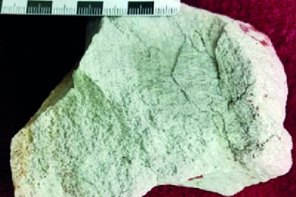 410 crores aged Zircon samples found in Telangana 