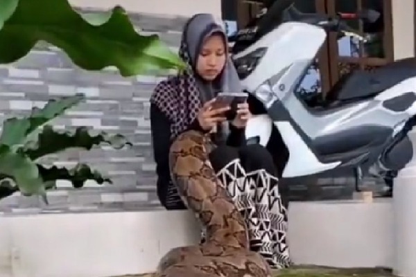 video of a woman with a python crawling in her lap goes viral 