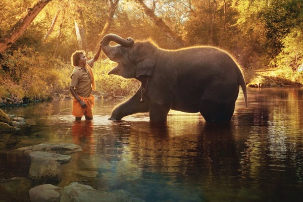 The Elephant Whisperers Wins Best Documentary Short film In Oscars 