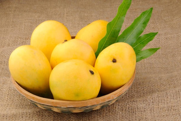 Can Diabetes patients eat mangoes 