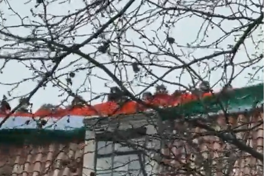 Indian embassy officials large tricolor flag in high commission amid khalistani protests 