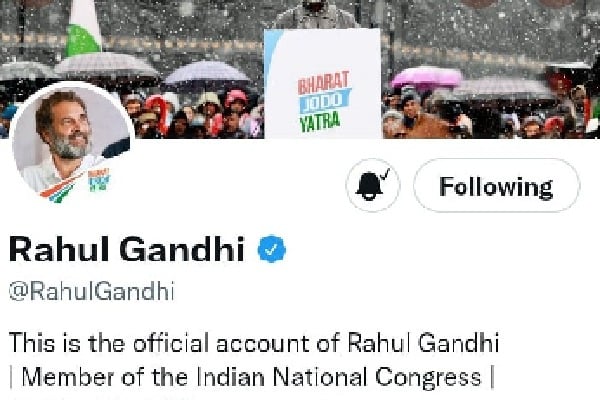 Rahul Gandhi changes his Twitter bio, writes Dis'qualified MP