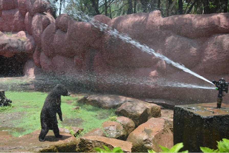 Hyderabad zoo installs coolers, sprinklers to protect animals from heat