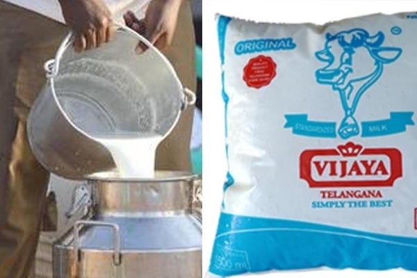 vijaya dairy hiked milk price