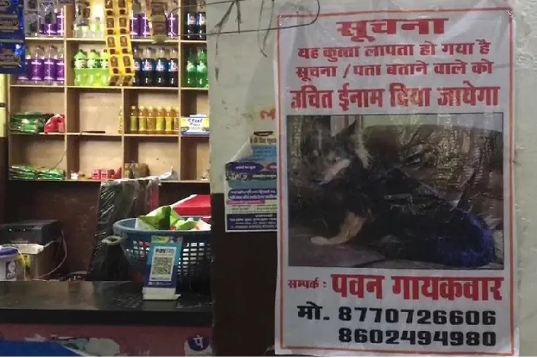 IAS Officer pet dog was missing gwalior police are engaged to searching