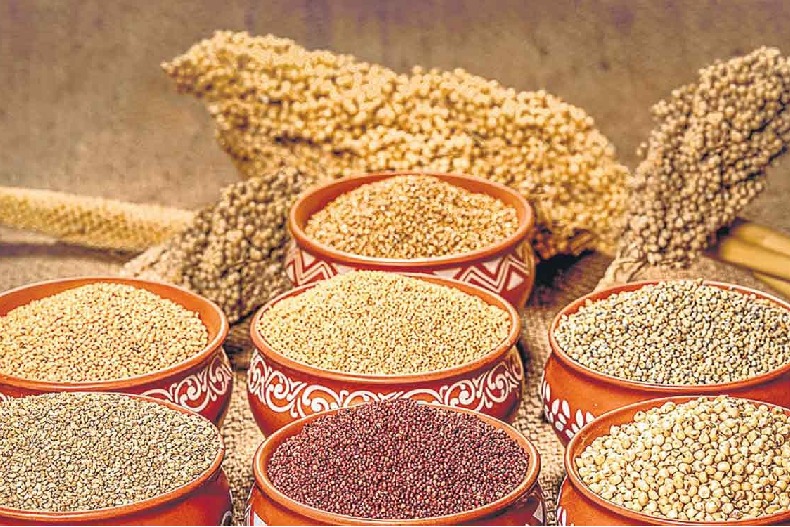 Dos and donts of eating millets