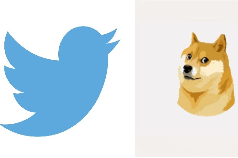 Little birdie is back Elon Musk replaces Dogecoin logo with official Twitter logo