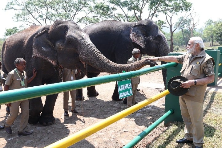 PM Modi visits Theppakadu elephant camp, interacts with Bomman and Bellie