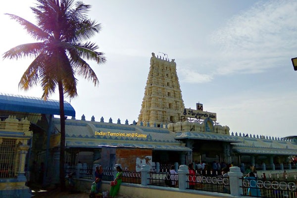 Deer skin Seized from Kanipakam Temple Priest