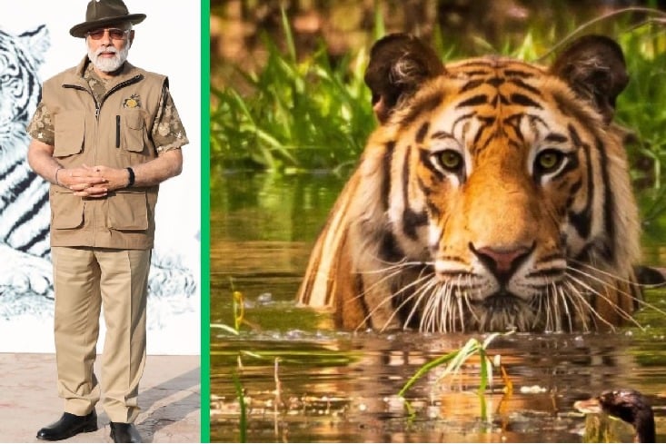PM Narendra Modi launches global bloc to save 7 big cat species 