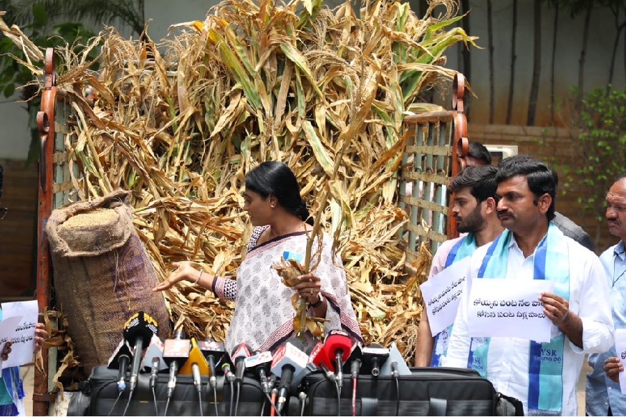 Sharmila says they are sending a truck with damaged crops to KCR
