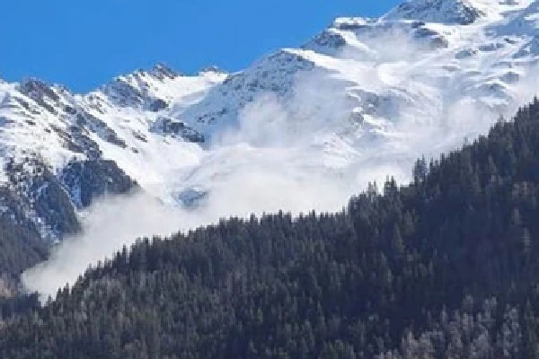 Five people out in search of Himalayan Viagra missing in Nepal avalanche