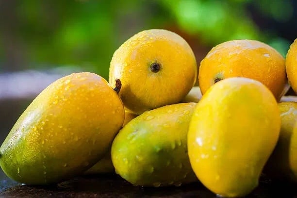 How to identify mangoes ripened with chemicals in the market know through these tips