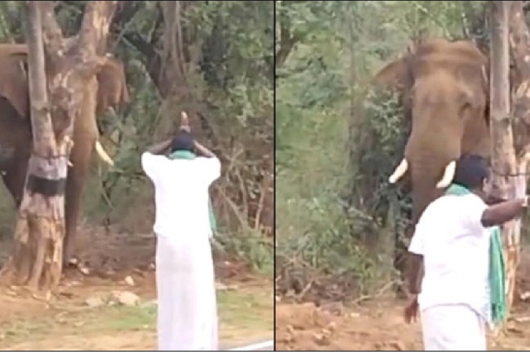 Tamil Nadu man walks in front of elephant with folded hands in viral video