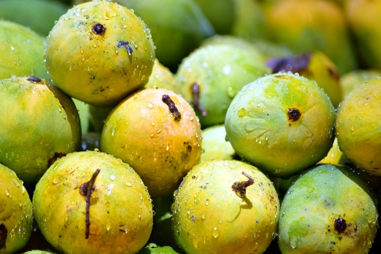 Malihabad mango variety named after PM Modi