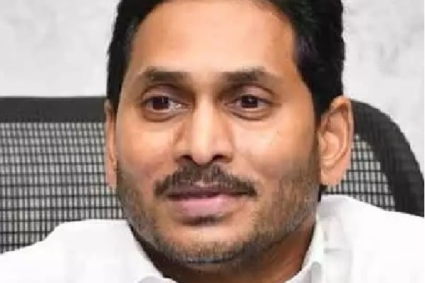 Jagan discusses Andhra-related issues with Amit Shah