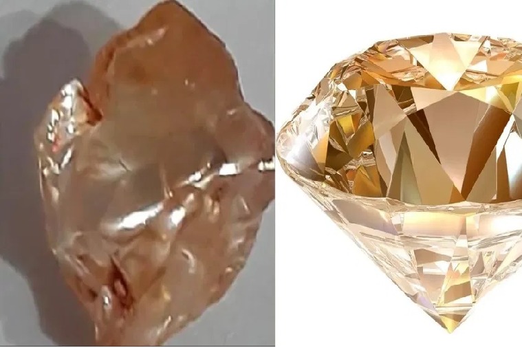 Kurnool Farmer Stumbles Upon Brown Diamond Worth Rs 2 Crores in Agricultural Land