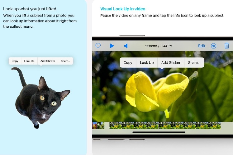 Apple iOS 17 offers new 'Look up' option in image cutout feature