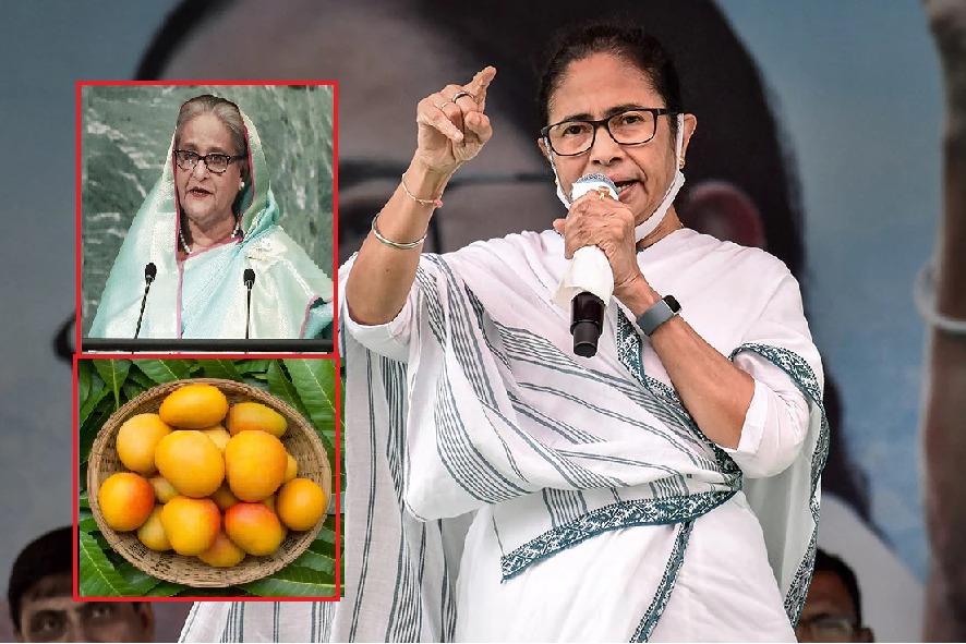 Bangladesh PM Sends 600 Kg Mangoes As Gift To Mamata Banerjee