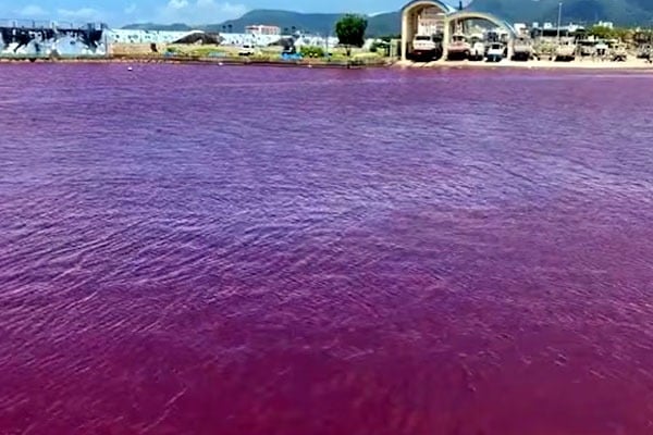 River in Nago City Japan turns red after food colouring leak