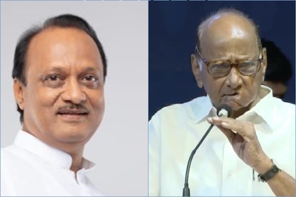 Pawar vs Pawar: Uncle-nephew to flex political muscles for NCP control