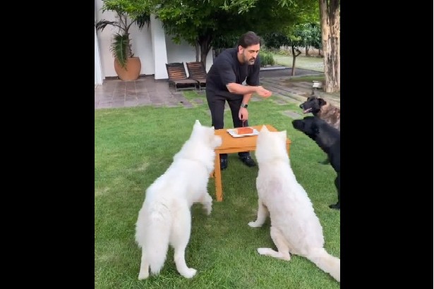 Dhoni birthday party with pets 