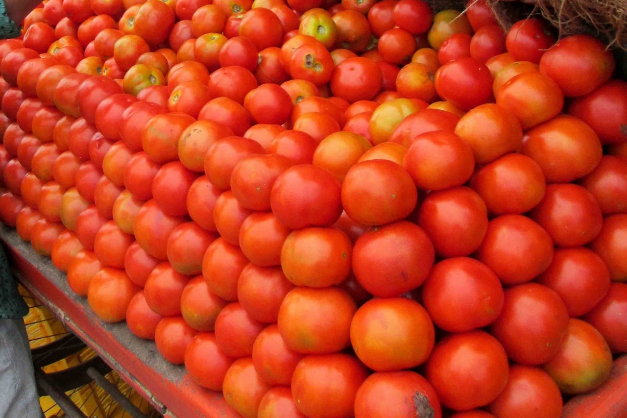 Vegetable vendor, son arrested for ‘bouncer show’ while selling tomatoes