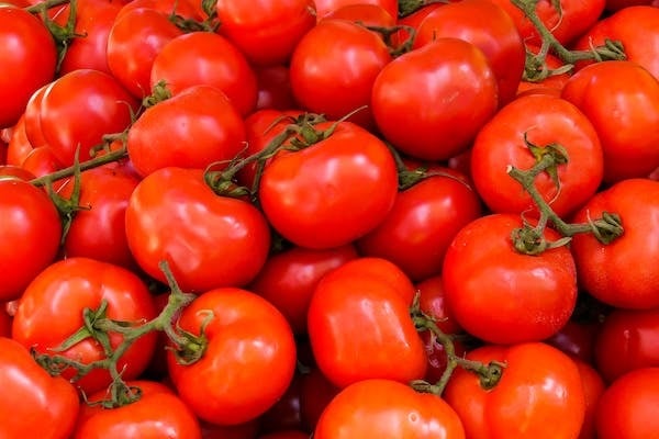 Meet Karnataka farmer who earned Rs 38 lakh selling expensive tomatoes
