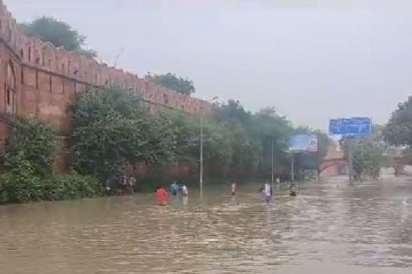 Snakes spotted in Delhi flood water