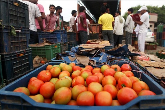Govt cuts price of subsidised tomato to Rs 70 per kg with effect from Thursday
