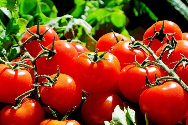 Lorry carrying tomatoes overturned in Hanumakonda District