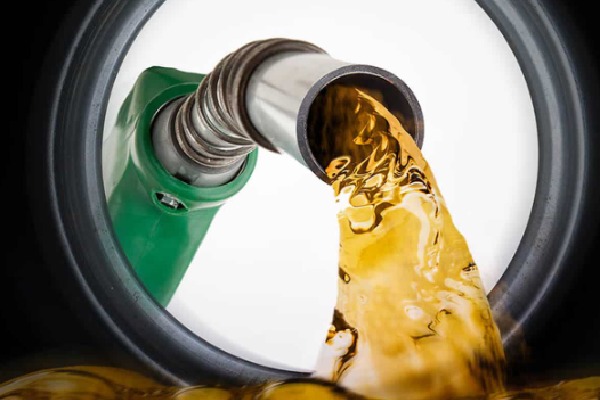 Petrol Prices high in Andhra Pradesh says petro minister