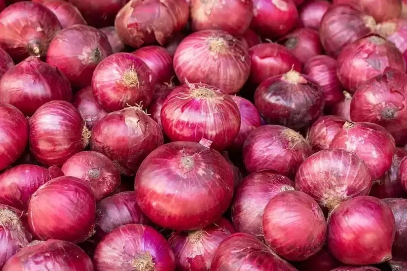 govt irradiating onions to preserve them over longer periods for curbing price rise