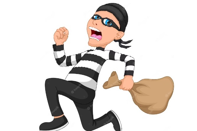 Robbers robbed Rs 28 laks when a man got down from bus for tiffin