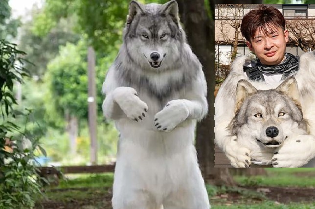 Japan engineer spent to look like a Wolf