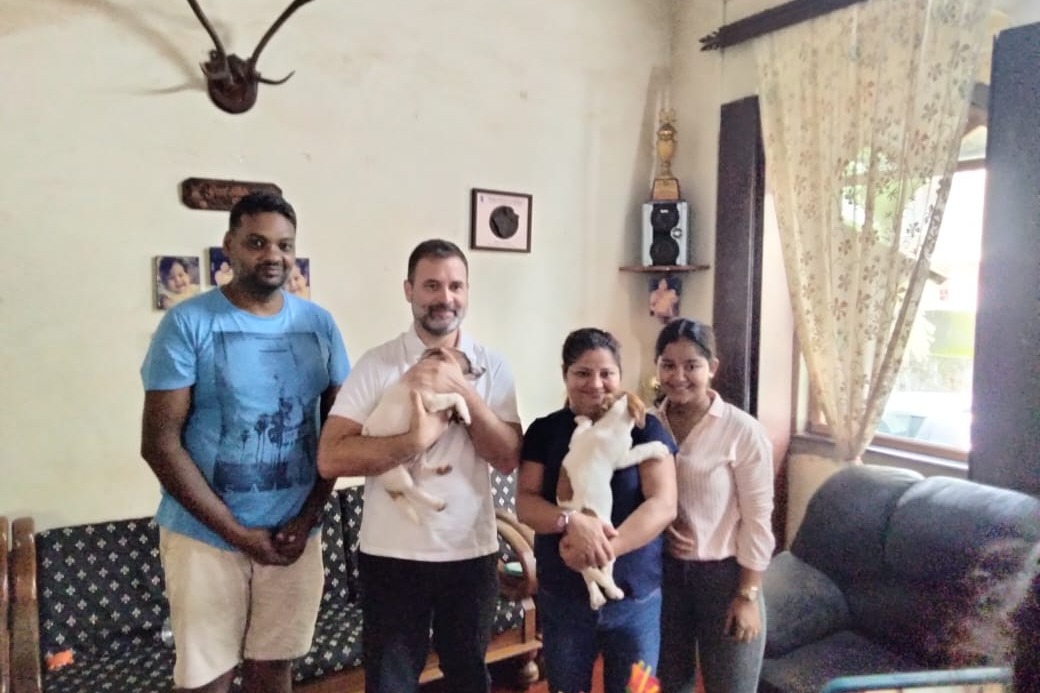 Rahul Gandhi takes pair of Jack Russell Terrier puppies from Goa