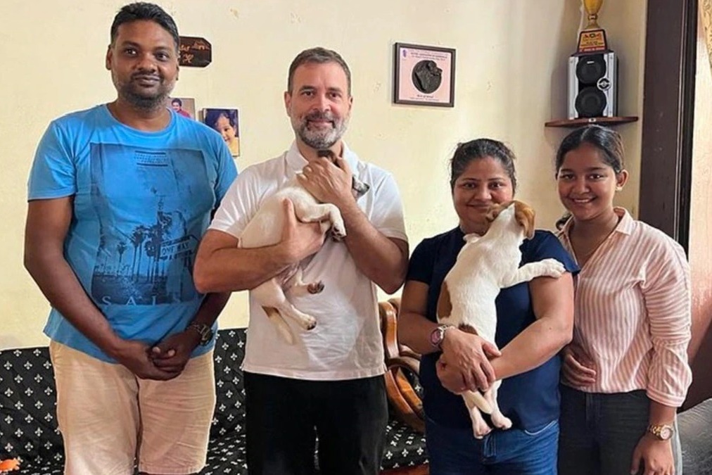 Rahul Gandhi brings home Jack Russell Terrier puppy after Goa visit