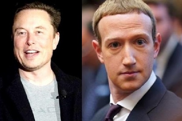 Zuckerberg says he's ready for cage fight, Musk reacts